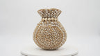 Noor Gold Embellished Potli